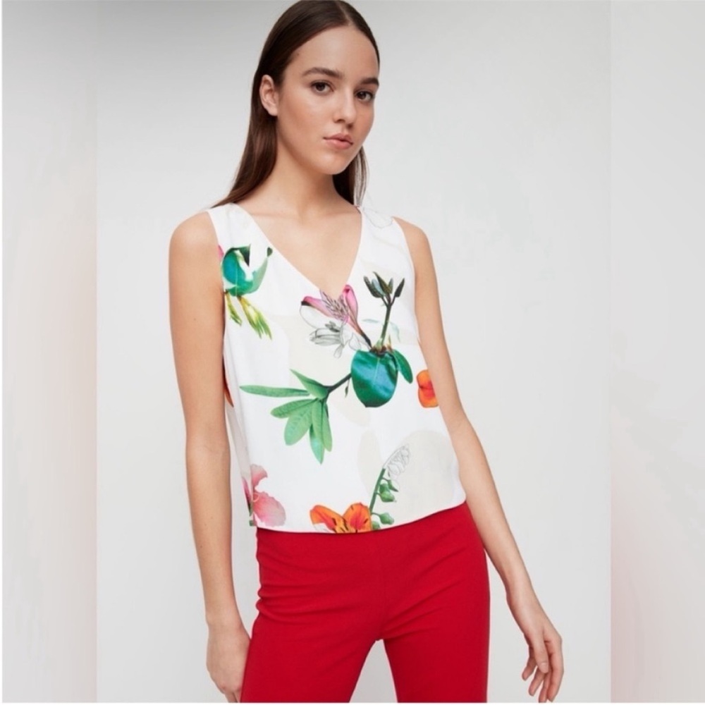 Aritzia Babaton Floral Print Murphy Blouse